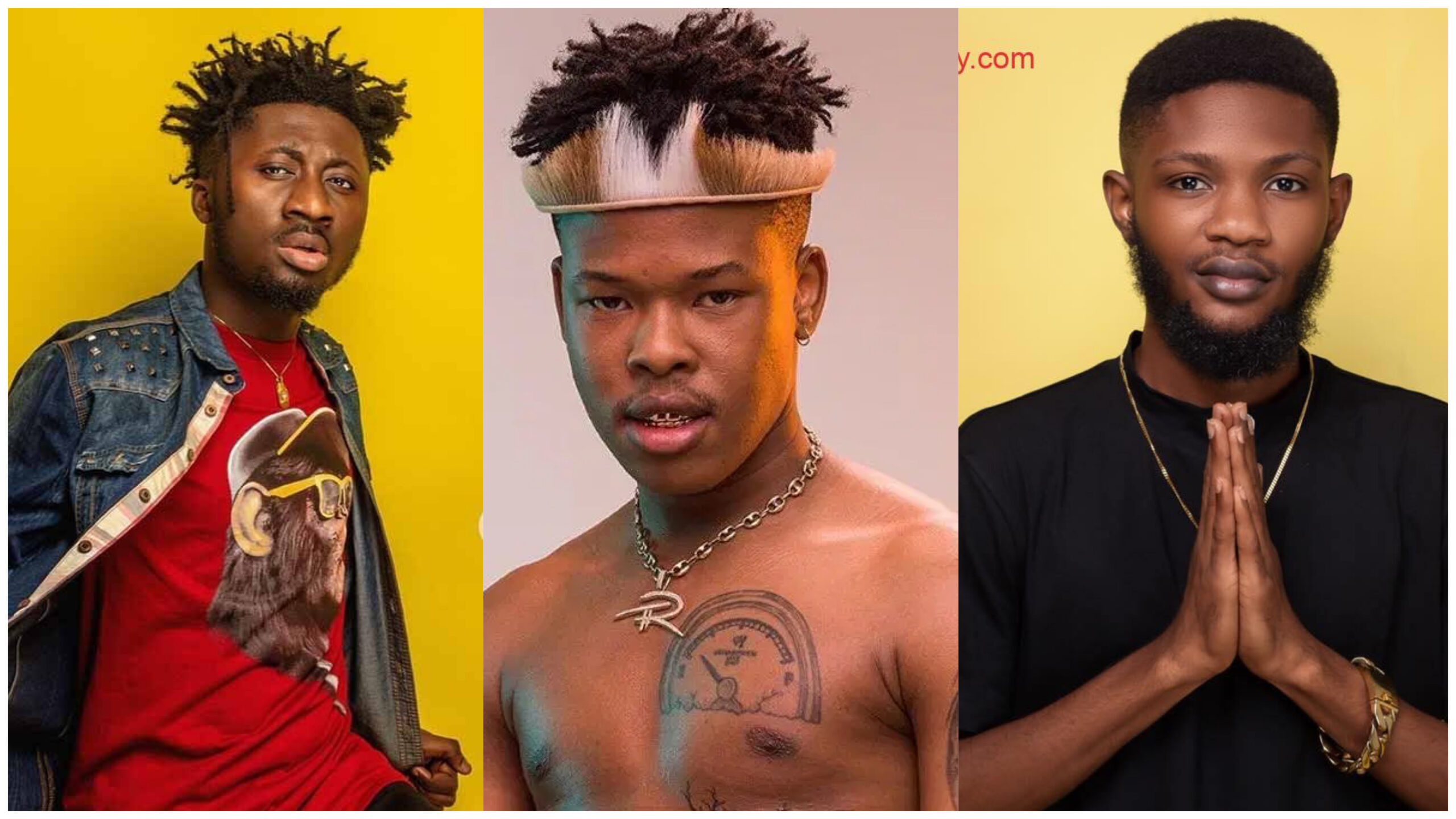 While others are hailing Amerado for his punchline, Some Ghanaians disagree with his comparison of Lyrical Joe and Nasty C